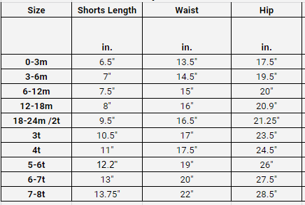 AVA's Cotton Gingham Boys Shorts
