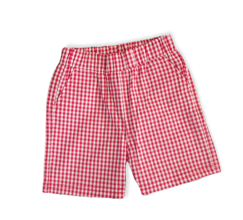AVA's Cotton Gingham Boys Shorts